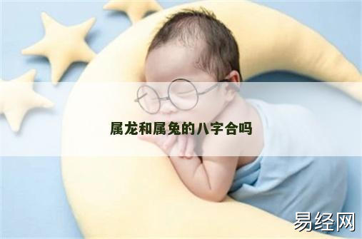 属龙和属兔的八字合吗 属龙和属兔的八字合吗